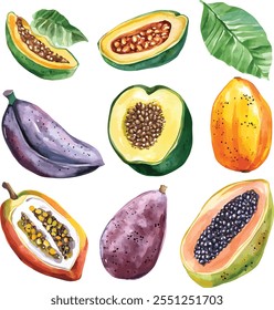 Exotic Watercolor Fruit Set: Vibrant Tropical Collection. Lush, Tropical Delights in Vibrant Color. Vector set Collection of Tropical Treasures for Creative Projects