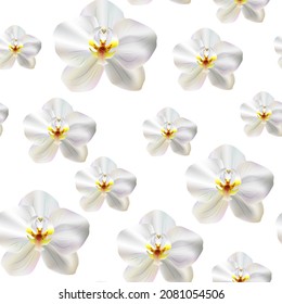 Exotic white Phalaenopsis Orchids blossom. Seamless pattern with tropical orchid flowers isolated on white . Floral vector pattern for invitations, cards, print, gift wrap, textile, fabric, wallpapers