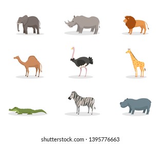 Exotic wild animals flat vector illustration set. African jungle fauna, species diversity. Tropical nature reserve, zoo, wildlife sanctuary. Elephant, rhino mammals. Safari, zoology. Lion, crocodile