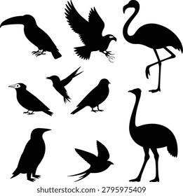 Exotic and Wild Bird Silhouette Collection Featuring Flamingo Toucan Eagle Swallow Crow and Crane Vector Set.