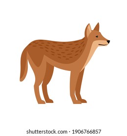 Exotic wild dog. Cartoon redhead character of wildlife, aggressive beast of nature, vector illustration of dingo isolated on white background