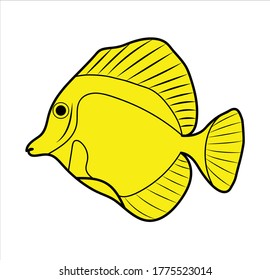 Exotic yellow cartoon fish with a black stroke. Color stock illustration isolated on white background. One sea yellow fish for an aquarium. Use for design, children's book or menu.