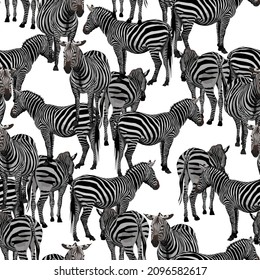 Exotic zebra wildlife animal seamless pattern on white background. Exotic safari  wallpaper.