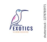 exotics bird hummingbird long beak line art modern minimal logo design vector