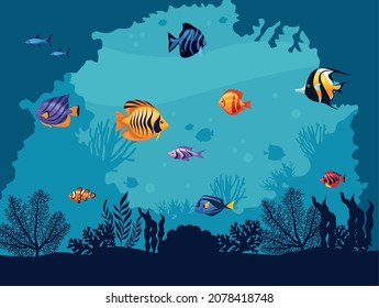 Exotics Fishes Underwater Sealife Scene