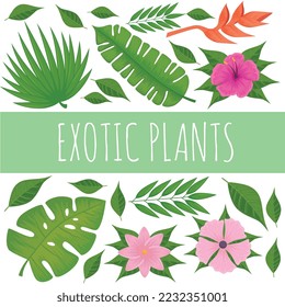 exotics plants lettering and pattern