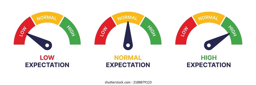 Expectation measuring gauge icon vector in graphic design.