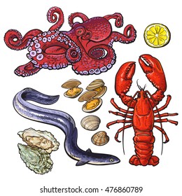 Expensive seafood collection, sketch style vector illustration isolated on white background. Octopus lobster eel mussel oyster seashell fresh organic seafood