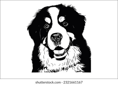 Experience the beauty and grace of the Bernese Mountain Dog, a beloved and loyal breed. With its striking markings and gentle disposition, this magnificent dog captures hearts effortlessly.