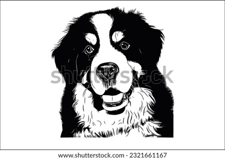 Experience the beauty and grace of the Bernese Mountain Dog, a beloved and loyal breed. With its striking markings and gentle disposition, this magnificent dog captures hearts effortlessly.