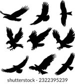 Experience the breathtaking flight of eagles with our captivating collection of 9 Flying Eagle Black Vector Silhouettes. 