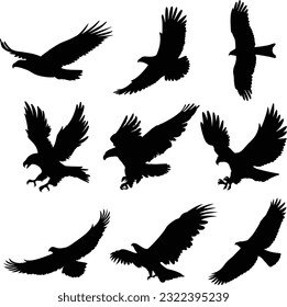 Experience the breathtaking flight of eagles with our captivating collection of 9 Flying Eagle Black Vector Silhouettes. 