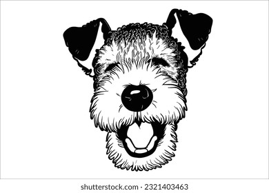 
Experience the captivating allure of an Airedale Terrier's head. With its distinguished appearance and intelligent eyes, this dog breed exudes confidence and charm.