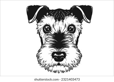 
Experience the captivating allure of an Airedale Terrier's head. With its distinguished appearance and intelligent eyes, this dog breed exudes confidence and charm.