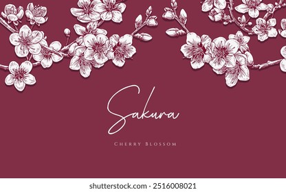 Experimente la delicada belleza de la primavera con esta ilustración realista de flores de cerezo rosa (sakura). Capturando perfectamente la gracia y elegancia de estas flores icónicas