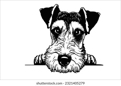 
Experimente el momento entrañable mientras Airedale Terrier aspira curiosidad. Esta carismática raza de perro cautiva los corazones con sus ojos expresivos y su naturaleza lúdica.