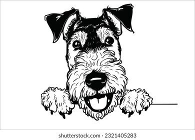 
Experience the endearing moment as an Airedale Terrier peeks with curiosity. This charismatic dog breed captivates hearts with its expressive eyes and playful nature.