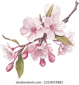 Experience the fleeting beauty of cherry blossom vector illustrations, where delicate petals dance in the wind. Awaken your senses.