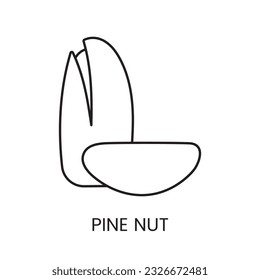Experience the joy of healthy eating with the Pine Nut Icon in Vector Format, a sleek line representation that showcases its small size.