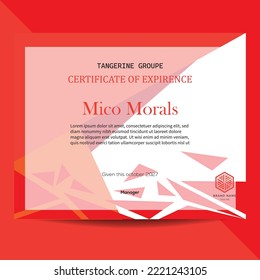 Plantilla de carta de experiencia, diseño de plantilla de carta de experiencia editable ilustración vectorial