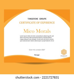 Experience letter template, editable experience letter template design vector illustration