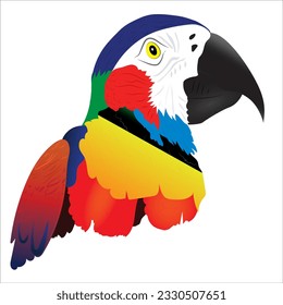 Experience a vivid blend of colors and shapes, capturing the spirit of a charismatic parrot. Witness its feathers transform into a dynamic dance, embodying nature's flamboyant marvels. Own a unique, a