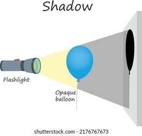 Experiment with flashlight and air balloon. physical science education. A shadow is a dark area where light from a light source is blocked by an opaque object.