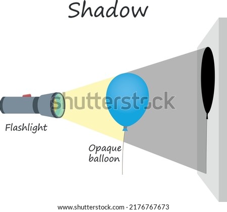 Experiment with flashlight and air balloon. physical science education. A shadow is a dark area where light from a light source is blocked by an opaque object.