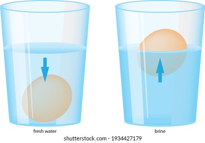 Experiment with saltwater and egg. The saltwater solution's density becomes higher than the egg's, so the egg will then float.