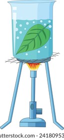 Experiment showing leaf dissolved in a water beaker placed on a tripod stand and bunsen burner in between