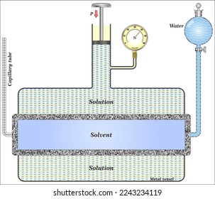 Experimental Measurement of Osmotic Pressure