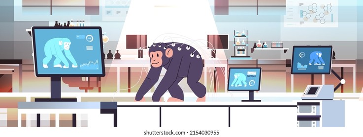 experimental monkey in modern veterinary clinic or lab analyzing health biological genetic engineering research