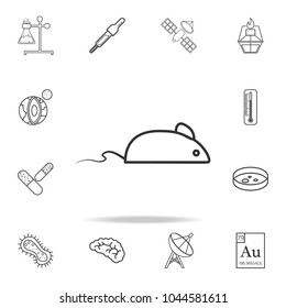 experimental mouse icon. Detailed set of science and learning outline icons. Premium quality graphic design. One of the collection icons for websites, web design, mobile app on white background
