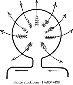 An experimental set-up, to show that, when the conducting wire is bent, the lines of force will pass around the wire from one face of the loop to the otherand in the direction as indicated