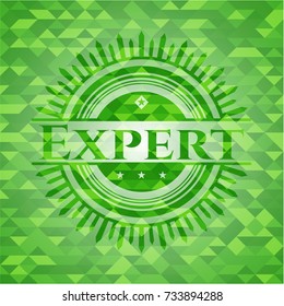 Expert green emblem. Mosaic background