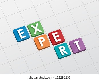 expert text in flat design, business professional service concept, vector