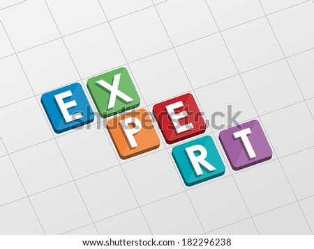 expert text in flat design, business professional service concept, vector