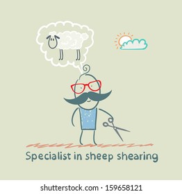 expert thinks about how to shear sheep