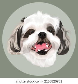 I am Expert in Victor Drawing, Victor Tracing, Pet and Animals, Back Ground Remove, Logo Design, Image Editing, Retouching, Color Correction and Computer Illustration Etc.