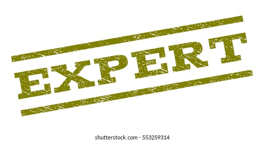 Expert watermark stamp. Text caption between parallel lines with grunge design style. Rubber seal stamp with unclean texture. Vector olive color ink imprint on a white background.