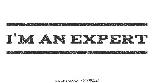 I'M An Expert watermark stamp. Text tag between horizontal parallel lines with grunge design style. Rubber seal gray stamp with unclean texture. Vector ink imprint on a white background.