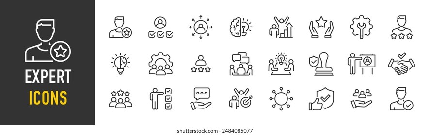 Expert web icons in line style. Competence, advice, knowledge, skill, service. Vector illustration.