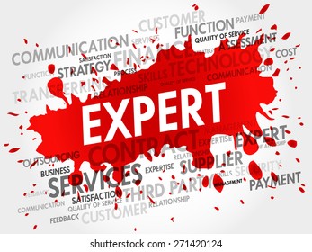 EXPERT word cloud, business concept