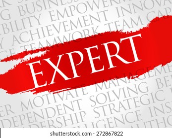 Expert word cloud, business concept