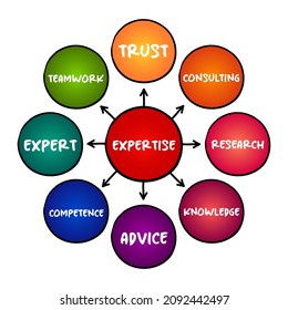 Mapa de mente de expertos, concepto de negocio para presentaciones e informes