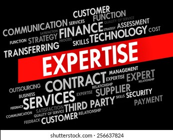 Expertise related items words cloud, business concept