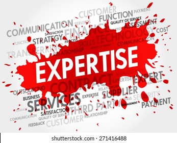 Expertise related items words cloud, business concept