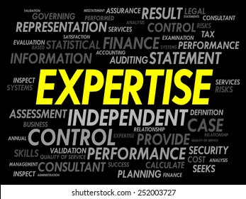 EXPERTISE word cloud, business concept