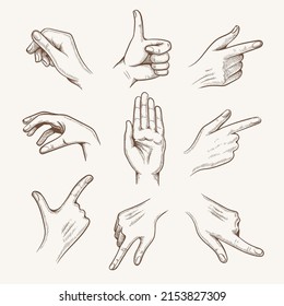 Explain Hand Sketch. Stop Like Thumbs-up Pointing Grabbing Handful Hands Drawings, Vintage Arms Sketches, Arm Gestural Retro Doodles Vector Illustration