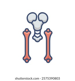 Explanatory Icon of Femur Anatomy